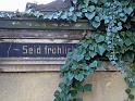 Neust.Friedhof (91)